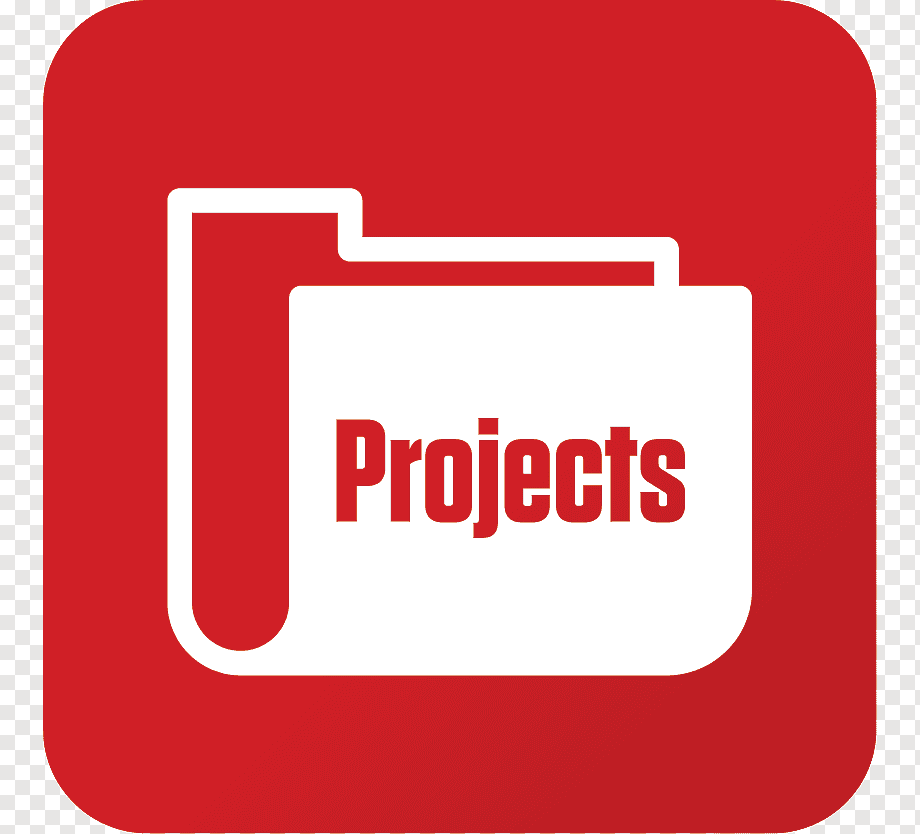 Customized Project & Synopsis